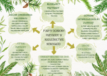 Formy Ochrony Przyrody w Nadleśnictwie Nowogród